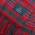 картинка Clans of Scotland MacAlister от магазина  Mykilt